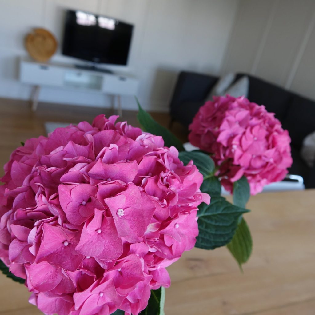 Haus-zur-Rose_Ferienwohnung_010