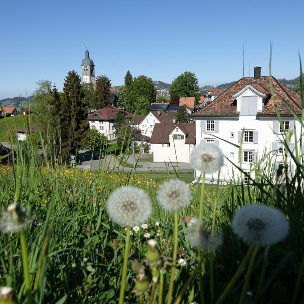 Haus-zur-Rose_Garten04